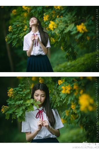 10部超好看的樱花妹影院高清电影及电视剧，你看过几部？